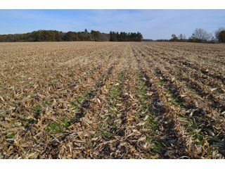 Property photo 2 - CROPLAND, HUNTING/RECREATIONAL & POTENTIAL BUILDING SITE IN NEWTON COUNTY, INDIANA