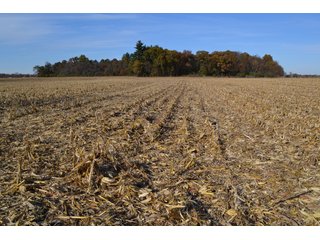 Property photo 3 - CROPLAND, HUNTING/RECREATIONAL & POTENTIAL BUILDING SITE IN NEWTON COUNTY, INDIANA