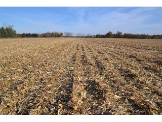 Property photo 4 - CROPLAND, HUNTING/RECREATIONAL & POTENTIAL BUILDING SITE IN NEWTON COUNTY, INDIANA