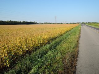 <b>65 Acres</b>
Monroe Twp., Delaware County. S36-T20N-R10E - 1 mile S of Muncie Bypass along CR 300S.
Excellent frontage along both CR 300S and Burlington Drive. 
Taxes were $1,875 (rounded) for 2019/2020 or about $26.41/acre
Investment-quality farm to add to your portfolio.
Conservation Easement in place.
94 percent tillable with Impressive Corn Soil Index of 150.0
High Quality Treaty, Crosby, and Miamian soils - LAND FOR SALE - PROPERTY IN DELAWARE COUNTY, INDIANA - 65 ACRES