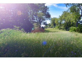 Property photo 3 - 156.9+/- Acres For Sale - Cropland, Woods for Hunting/Recreational & Potential Building Sites