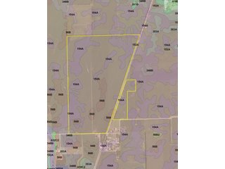 PI Rating of 143 out of possible 147. 
This prime Illinois farm land some of the best in the state.  Must be seen in person to be appreciated.  Capable of producing excellent yields with grain markets just a few miles from the property.  - FOR SALE 354 ACRES