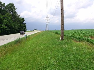 <b>53+ acres high quality cropland with 1/2 mi. frontage on Hwy. 27
1.5+ acres CRP expires 2021 at $160 per acre
3 billboards with annual income ($1,450 per year.)
13 acres woods & good building site with well
Grain bin (4,500 bu.) per Fan
APH 189 Bu. Corn and 57 Bu. Beans.  Corn Soil Index 135.9 Bu.
1/2 mile Frontage on Hwy. 27 and about 1/8 mile on Co. Rd. 200N
Estimated Taxes: $1,485/year.
Cropland Subject to 2019 Crop Rights.  Closing Fall 2019.</b> - REAL ESTATE FOR SALE IN UNION COUNTY, INDIANA