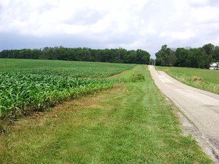 <b>119+ acres Cropland: 94% of Total Acres
6.3+ acres Non-Tillable
APH Corn 191 bu. and Beans 57 bu.
Taxes $2,700.52/yr. or $21.38/acre
Corn Soil Index 146.8 bu.
Cropland Subject to 2019 Crop Rights. Closing Fall 2019.
Do not miss this one!</b> - REAL ESTATE FOR SALE IN UNION COUNTY, INDIANA