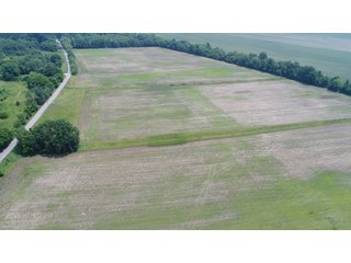 This is a great opportunity to purchase income producing tillable acres and recreational acres as well in one package. There is an easement to access the wooded/smaller tillable section on the NW side of Catlin Road. A new survey has been completed by the owners to show all property lines and precise acres, it has been posted to our website. Sales manager has a preliminary title search, FSA data, etc for review upon request. Please feel free to contact Todd with any questions.

<b>Tenant:</b> None - Open
<b>Easements:</b> Contact Sales Manager for preliminary search
<b>Possession:</b> At Closing
<b>Fencing:</b> Partial
<b>Taxes:</b>$2488.12 annual or $11.99/AC
<b>Zoning:</b>100 Agri Vacant Land 

<iframe src="https://player.vimeo.com/video/348162990" width="640" height="360" frameborder="0" allow="autoplay; fullscreen"></iframe> - Excellent Tillable and Recreational Land