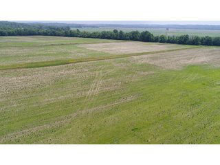 This is a great opportunity to purchase income producing tillable acres and recreational acres as well in one package. There is an easement to access the wooded/smaller tillable section on the NW side of Catlin Road. A new survey has been completed by the owners to show all property lines and precise acres, it has been posted to our website. Sales manager has a preliminary title search, FSA data, etc for review upon request. Please feel free to contact Todd with any questions.

<b>Tenant:</b> None - Open
<b>Easements:</b> Contact Sales Manager for preliminary search
<b>Possession:</b> At Closing
<b>Fencing:</b> Partial
<b>Taxes:</b>$2488.12 annual or $11.99/AC
<b>Zoning:</b>100 Agri Vacant Land 

<iframe src="https://player.vimeo.com/video/348162990" width="640" height="360" frameborder="0" allow="autoplay; fullscreen"></iframe> - Excellent Tillable and Recreational Land