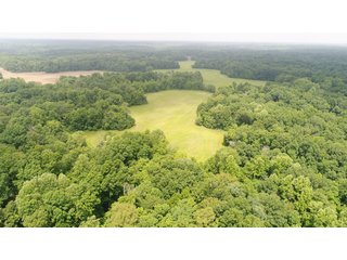 This is a great opportunity to purchase income producing tillable acres and recreational acres as well in one package. There is an easement to access the wooded/smaller tillable section on the NW side of Catlin Road. A new survey has been completed by the owners to show all property lines and precise acres, it has been posted to our website. Sales manager has a preliminary title search, FSA data, etc for review upon request. Please feel free to contact Todd with any questions.

<b>Tenant:</b> None - Open
<b>Easements:</b> Contact Sales Manager for preliminary search
<b>Possession:</b> At Closing
<b>Fencing:</b> Partial
<b>Taxes:</b>$2488.12 annual or $11.99/AC
<b>Zoning:</b>100 Agri Vacant Land 

<iframe src="https://player.vimeo.com/video/348162990" width="640" height="360" frameborder="0" allow="autoplay; fullscreen"></iframe> - Excellent Tillable and Recreational Land