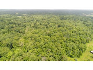Property photo 3 - Excellent Tillable and Recreational Land