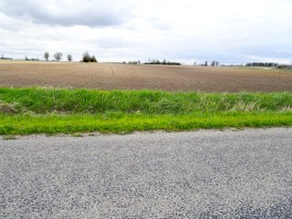 Farmland in Jay County, Indiana - LAND AUCTION - 82+/- ACRES OFFERED IN 2 TRACTS IN JAY COUNTY, INDIANA