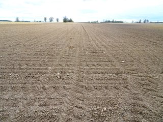 Farmland in Jay County, Indiana - LAND AUCTION - 82+/- ACRES OFFERED IN 2 TRACTS IN JAY COUNTY, INDIANA