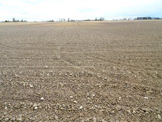 Farmland in Jay County, Indiana - LAND AUCTION - 82+/- ACRES OFFERED IN 2 TRACTS IN JAY COUNTY, INDIANA