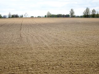 Farmland in Jay County, Indiana - LAND AUCTION - 82+/- ACRES OFFERED IN 2 TRACTS IN JAY COUNTY, INDIANA