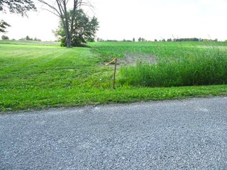 Farmland in Jay County, Indiana - LAND AUCTION - 82+/- ACRES OFFERED IN 2 TRACTS IN JAY COUNTY, INDIANA
