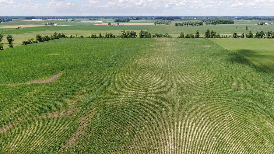 LAND AUCTION - 82+/- ACRES OFFERED IN 2 TRACTS IN JAY COUNTY, INDIANA
