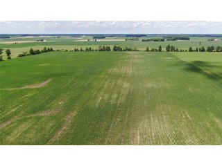 Property photo 1 - LAND AUCTION - 82+/- ACRES OFFERED IN 2 TRACTS IN JAY COUNTY, INDIANA