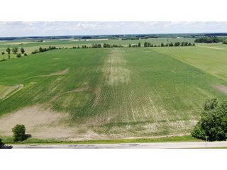 Farmland in Jay County, Indiana - LAND AUCTION - 82+/- ACRES OFFERED IN 2 TRACTS IN JAY COUNTY, INDIANA