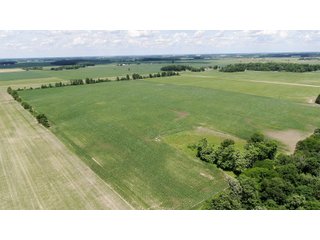 Farmland in Jay County, Indiana - LAND AUCTION - 82+/- ACRES OFFERED IN 2 TRACTS IN JAY COUNTY, INDIANA