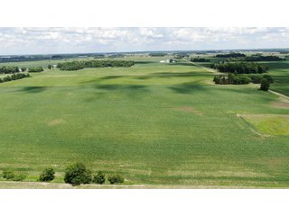 Farmland in Jay County, Indiana - LAND AUCTION - 82+/- ACRES OFFERED IN 2 TRACTS IN JAY COUNTY, INDIANA