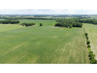 Farmland in Jay County, Indiana - LAND AUCTION - 82+/- ACRES OFFERED IN 2 TRACTS IN JAY COUNTY, INDIANA