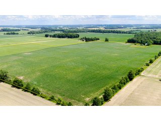 Farmland in Jay County, Indiana - LAND AUCTION - 82+/- ACRES OFFERED IN 2 TRACTS IN JAY COUNTY, INDIANA