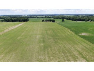 Farmland in Jay County, Indiana - LAND AUCTION - 82+/- ACRES OFFERED IN 2 TRACTS IN JAY COUNTY, INDIANA