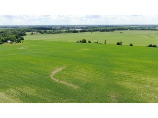 Farmland in Jay County, Indiana - LAND AUCTION - 82+/- ACRES OFFERED IN 2 TRACTS IN JAY COUNTY, INDIANA
