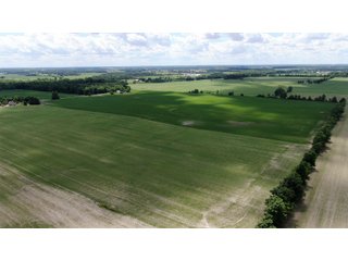 Farmland in Jay County, Indiana - LAND AUCTION - 82+/- ACRES OFFERED IN 2 TRACTS IN JAY COUNTY, INDIANA