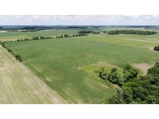 Property photo 2 - LAND AUCTION - 82+/- ACRES OFFERED IN 2 TRACTS IN JAY COUNTY, INDIANA