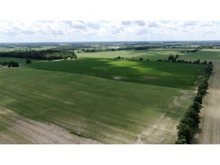 Farmland in Jay County, Indiana - LAND AUCTION - 82+/- ACRES OFFERED IN 2 TRACTS IN JAY COUNTY, INDIANA
