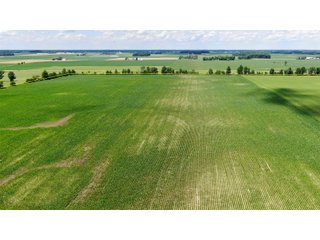 Farmland in Jay County, Indiana - LAND AUCTION - 82+/- ACRES OFFERED IN 2 TRACTS IN JAY COUNTY, INDIANA