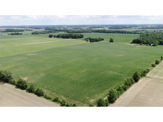 Farmland in Jay County, Indiana - LAND AUCTION - 82+/- ACRES OFFERED IN 2 TRACTS IN JAY COUNTY, INDIANA