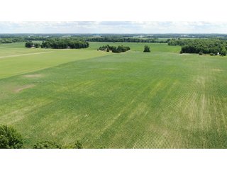 Farmland in Jay County, Indiana - LAND AUCTION - 82+/- ACRES OFFERED IN 2 TRACTS IN JAY COUNTY, INDIANA