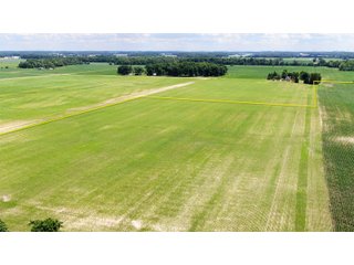 Farmland in Jay County, Indiana - LAND AUCTION - 82+/- ACRES OFFERED IN 2 TRACTS IN JAY COUNTY, INDIANA