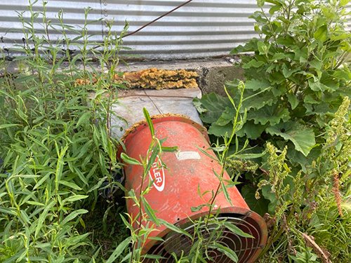 Property photo 427 - PRE-HARVEST VIRTUAL ONLINE ONLY EQUIPMENT AUCTION