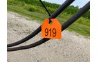 Property photo 865 - PRE-HARVEST VIRTUAL ONLINE ONLY EQUIPMENT AUCTION