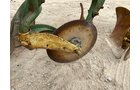 Property photo 874 - PRE-HARVEST VIRTUAL ONLINE ONLY EQUIPMENT AUCTION