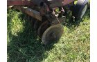 Property photo 1120 - PRE-HARVEST VIRTUAL ONLINE ONLY EQUIPMENT AUCTION