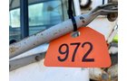 Property photo 1152 - PRE-HARVEST VIRTUAL ONLINE ONLY EQUIPMENT AUCTION