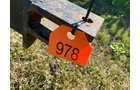 Property photo 1206 - PRE-HARVEST VIRTUAL ONLINE ONLY EQUIPMENT AUCTION