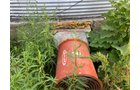 Property photo 2521 - PRE-HARVEST VIRTUAL ONLINE ONLY EQUIPMENT AUCTION