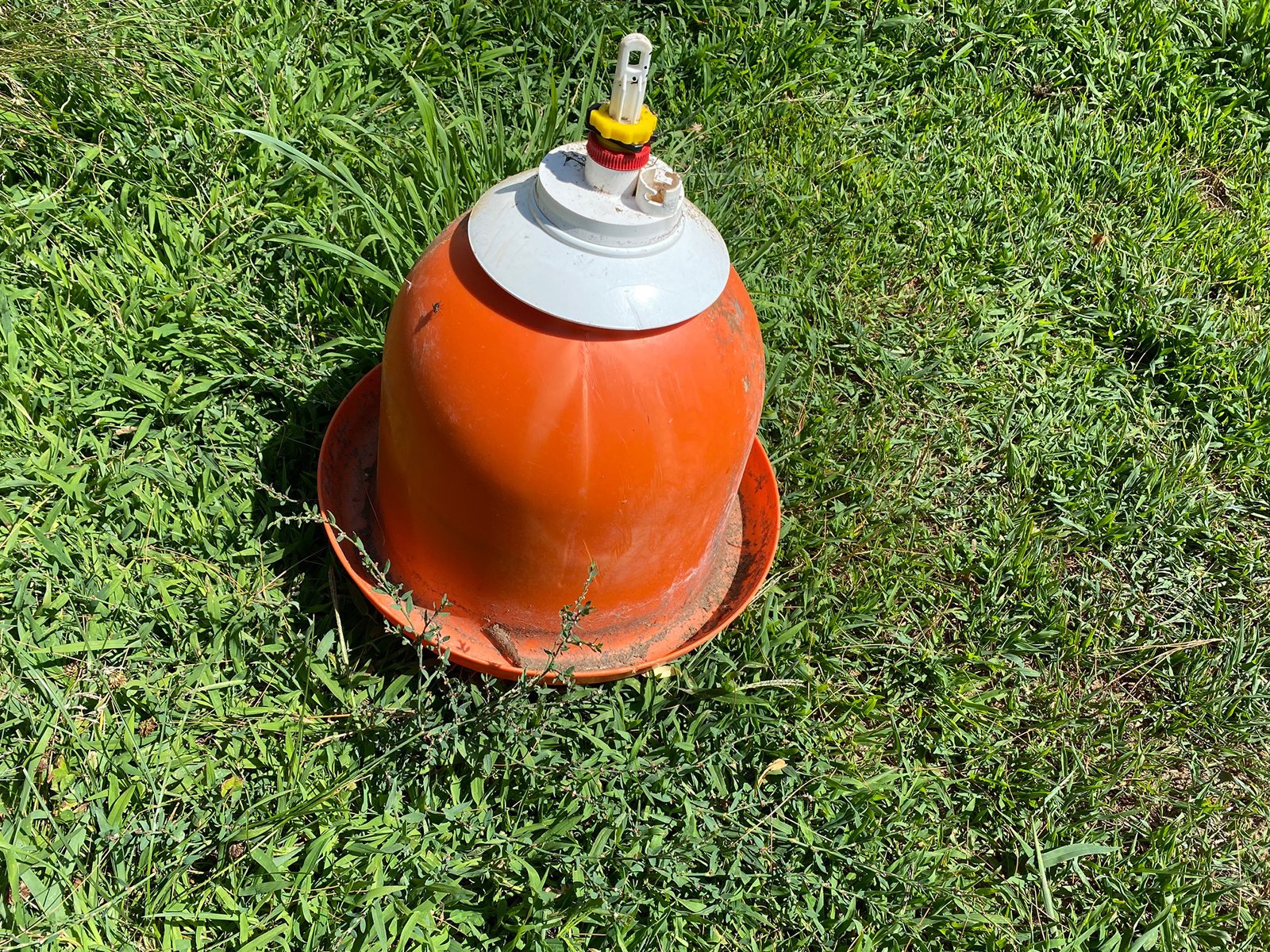 Property photo 2556 - PRE-HARVEST VIRTUAL ONLINE ONLY EQUIPMENT AUCTION