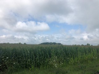 Farm B in Wayne County, Indiana Farmland - FARMLAND AUCTION - 328+/- ACRES OFFERED IN 5 TRACTS IN WAYNE COUNTY, INDIANA
