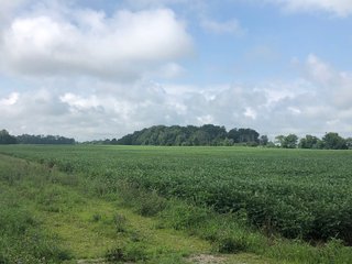 Farm B in Wayne County, Indiana Farmland - FARMLAND AUCTION - 328+/- ACRES OFFERED IN 5 TRACTS IN WAYNE COUNTY, INDIANA