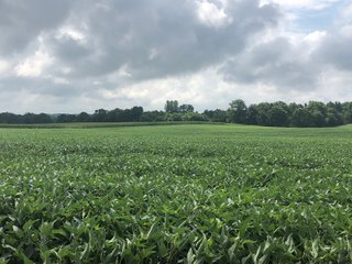 Farm B in Wayne County, Indiana Farmland - FARMLAND AUCTION - 328+/- ACRES OFFERED IN 5 TRACTS IN WAYNE COUNTY, INDIANA