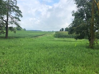 Farm B in Wayne County, Indiana Farmland - FARMLAND AUCTION - 328+/- ACRES OFFERED IN 5 TRACTS IN WAYNE COUNTY, INDIANA