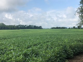 Farm B in Wayne County, Indiana Farmland - FARMLAND AUCTION - 328+/- ACRES OFFERED IN 5 TRACTS IN WAYNE COUNTY, INDIANA
