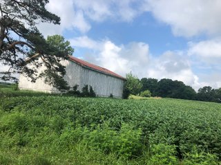 Farm B in Wayne County, Indiana Farmland - FARMLAND AUCTION - 328+/- ACRES OFFERED IN 5 TRACTS IN WAYNE COUNTY, INDIANA
