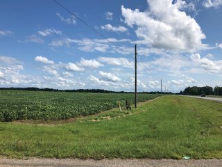 Farm A in Wayne County, Indiana Farmland - FARMLAND AUCTION - 328+/- ACRES OFFERED IN 5 TRACTS IN WAYNE COUNTY, INDIANA