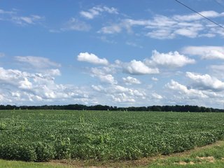 Farm A in Wayne County, Indiana Farmland - FARMLAND AUCTION - 328+/- ACRES OFFERED IN 5 TRACTS IN WAYNE COUNTY, INDIANA