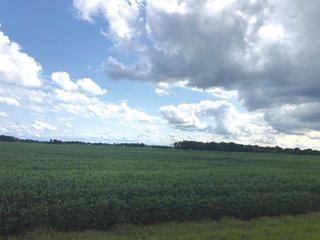 Farm A in Wayne County, Indiana FarmlandFarm A - FARMLAND AUCTION - 328+/- ACRES OFFERED IN 5 TRACTS IN WAYNE COUNTY, INDIANA